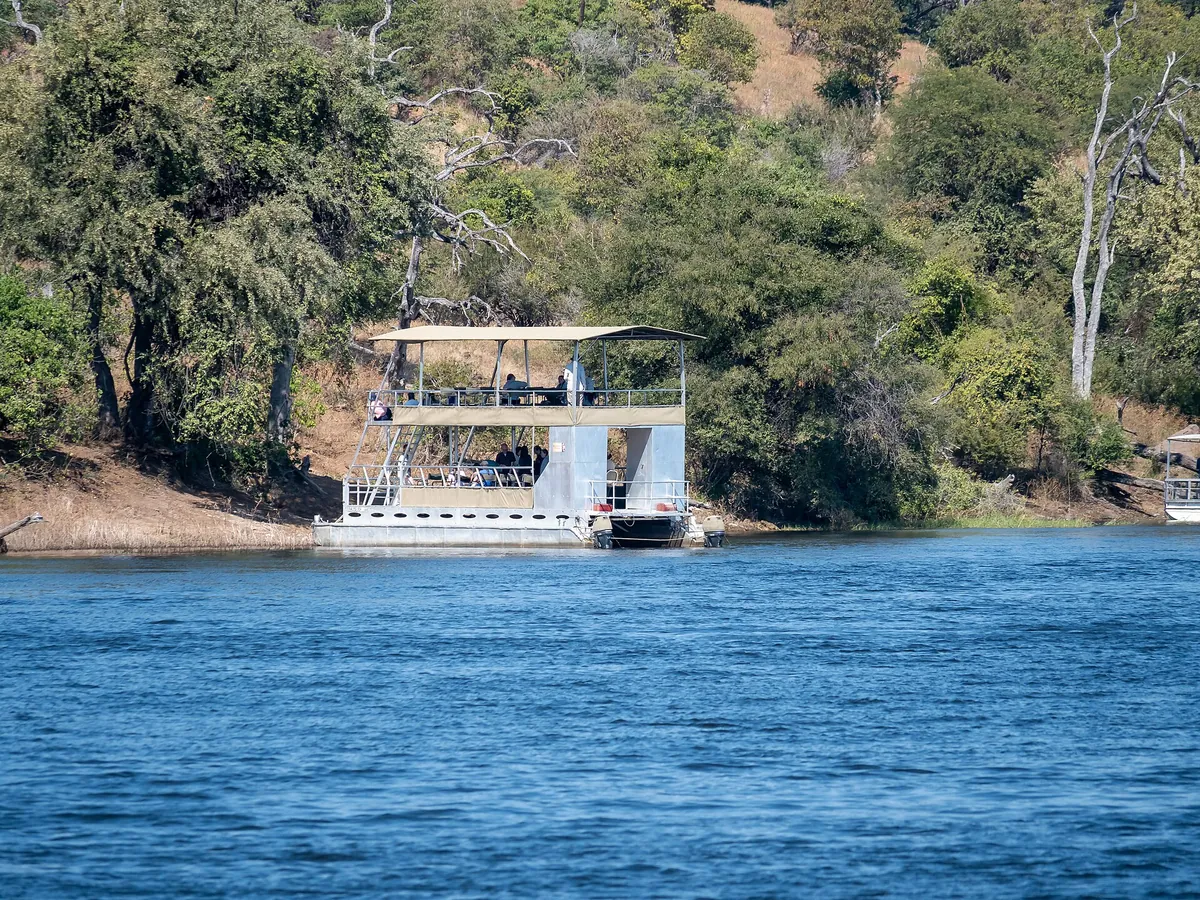 Chobe Overnight Safari